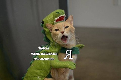 Новая экономическая Я реальность