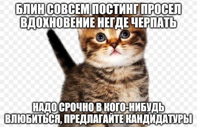 ВДОХНОВЕНИЕ НЕГДЕ. НАДО НИБУДЬ ВЛЮБИТЬСЯ, КАНДИДАТУРЫ