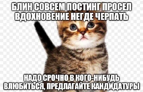 ВДОХНОВЕНИЕ НЕГДЕ. НАДО НИБУДЬ ВЛЮБИТЬСЯ, КАНДИДАТУРЫ