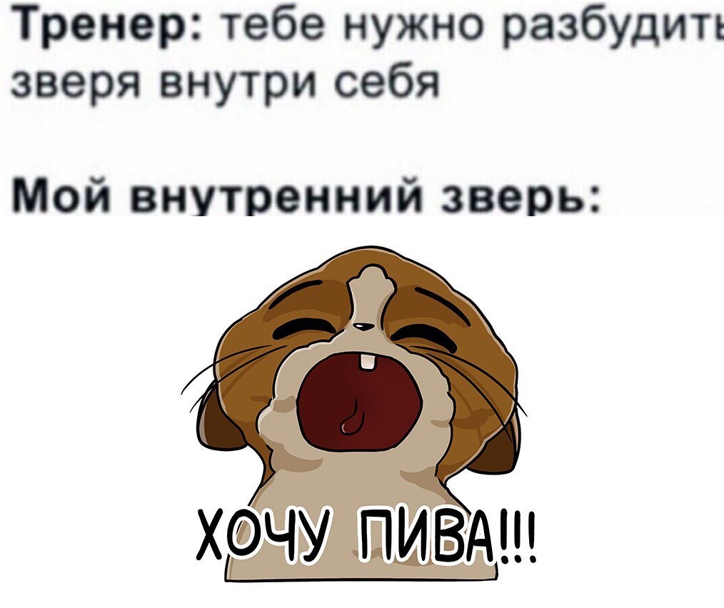 Тренер: тебе нужно разбудит! зверя внутри себя Мой внутренний зверь: ХОЧУ