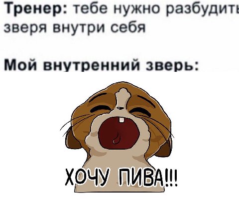 Тренер: тебе нужно разбудит! зверя внутри себя Мой внутренний зверь: ХОЧУ