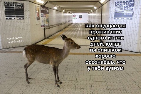 TCA как-ощущае: вани переведено: одного. ИЗ; a neurodiverpics дней, когда ТЫ слишком и хорошо осознаешь, что у тебя аутизм
