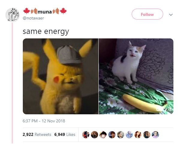 @notawaer same energy 6:37 12 Nov 2018 2,922 Retweets 6,949 Likes A