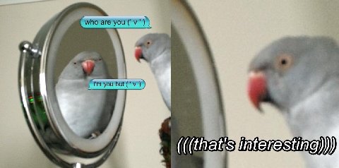 who are you but