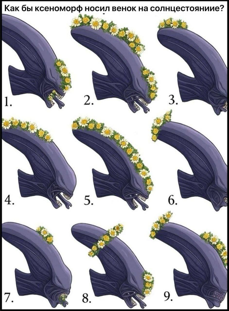 Как бы ксеноморф носил венок на солнцестояниие? К 1 2. 3. Fae к 7" А 4, 5. 6. a 16, 8. 9.
