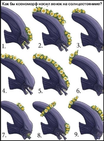Как бы ксеноморф носил венок на солнцестояниие? К 1 2. 3. Fae к 7" А 4, 5. 6. a 16, 8. 9.