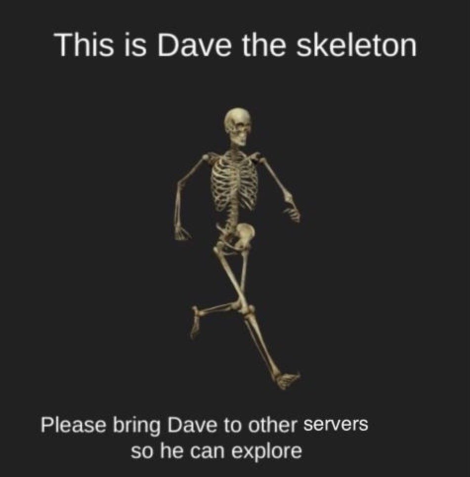 This is Dave the skeleton Please bring Dave to other servers so he can explore