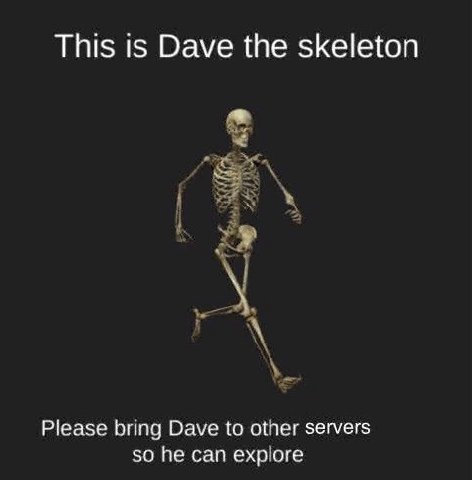This is Dave the skeleton Please bring Dave to other servers so he can explore
