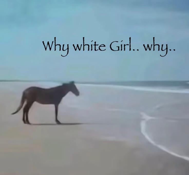 Why white why..