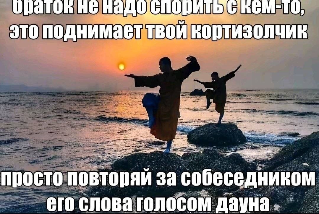 HE надо Onn И это поднимаеттво просто повторяй за собеседником его слова голосом ayHa