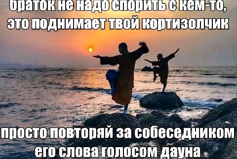HE надо Onn И это поднимаеттво просто повторяй за собеседником его слова голосом ayHa