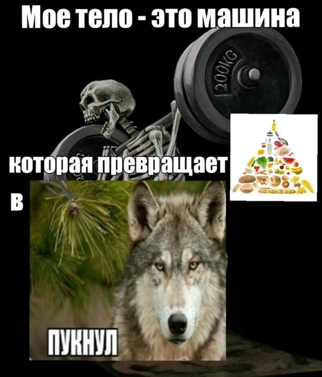 Мое тело это машина которая превращает ПУКНУЛ
