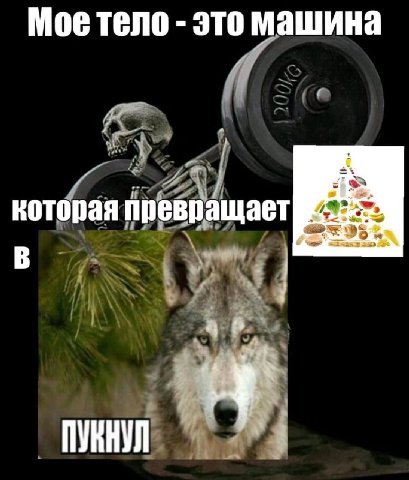 Мое тело это машина которая превращает ПУКНУЛ