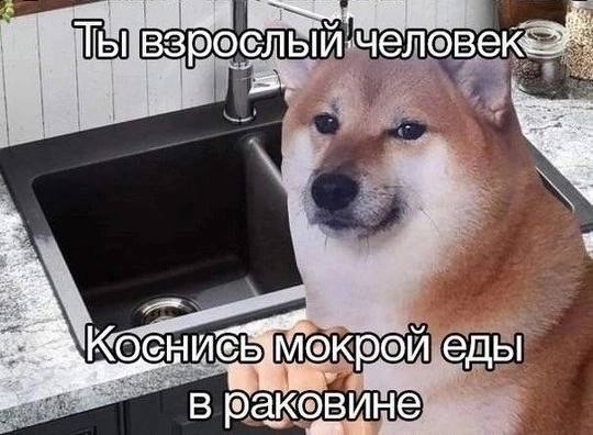 ‘человек еды В