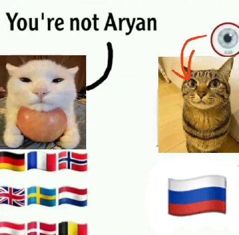 You're not Aryan