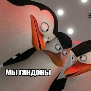 мы гандоны