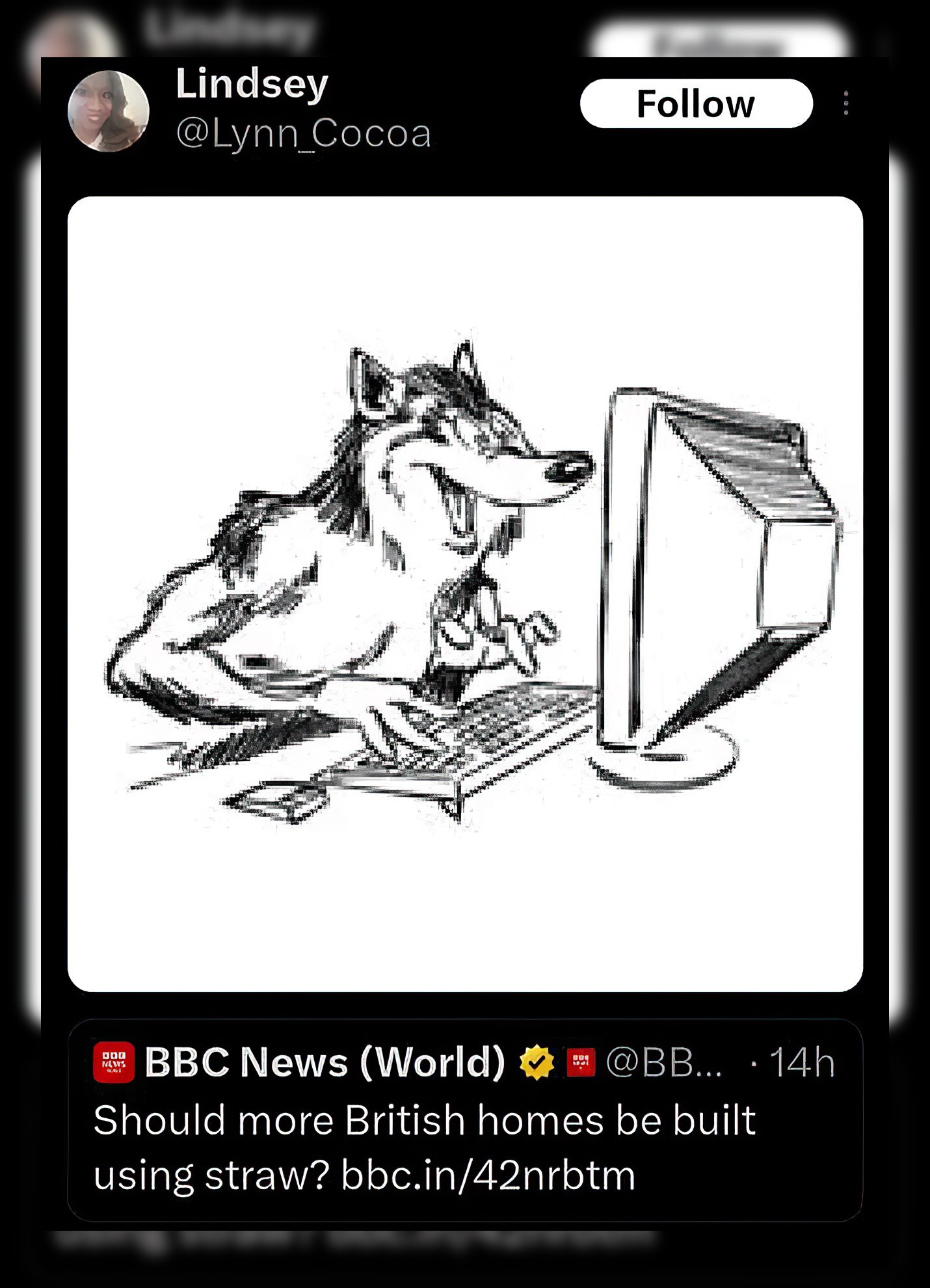 Lindsey я i BBC News (World) Should more British homes be built using straw? bbc.in/42nrbtm