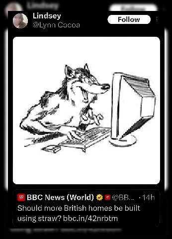 Lindsey я i BBC News (World) Should more British homes be built using straw? bbc.in/42nrbtm