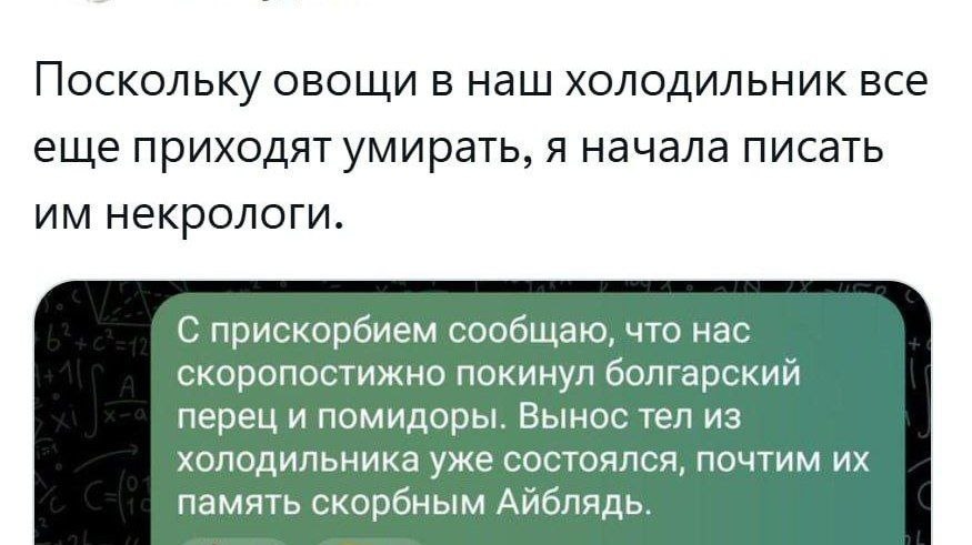 Поскольку овощи В наш холодильник все еще приходят умирать, я начала писать некрологи. С прискорбием сообщаю, что нас скоропостижно покинул болгарский перец и помидоры. Вынос тел из холодильника уже с