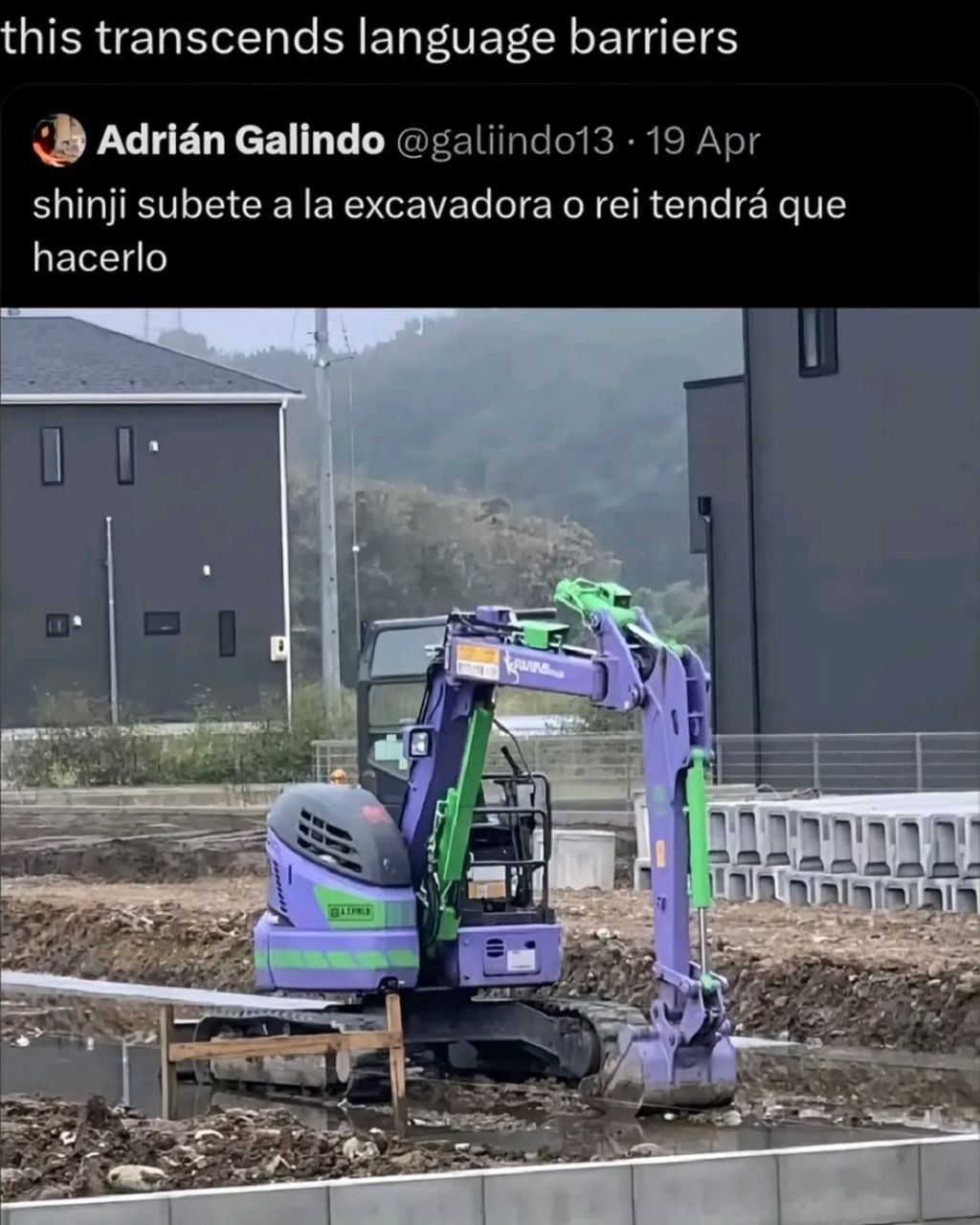 this transcends language barriers Adrian Galindo shinji subete а ехсауа ога о rei tendra que hacerlo