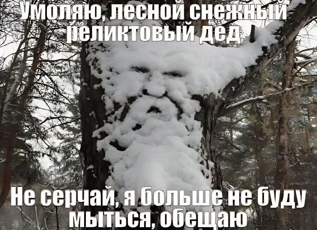 25% умоляю, лесной В И A 2 a’ 4% Не серчай, Я больш! буду МЫТЬСЯ, обещаю”