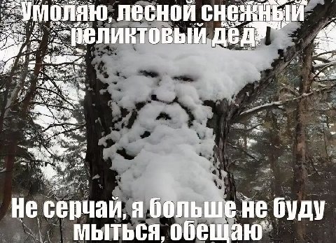 25% умоляю, лесной В И A 2 a’ 4% Не серчай, Я больш! буду МЫТЬСЯ, обещаю”
