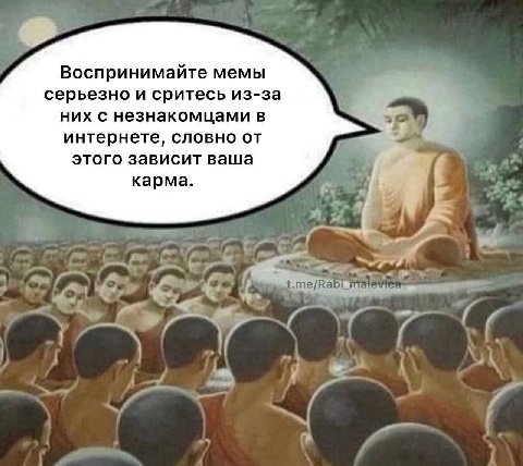 Воспринимайте мемы серьезно и сритесь из-за них с незнакомцами в интернете, словно от этого зависит ваша карма.