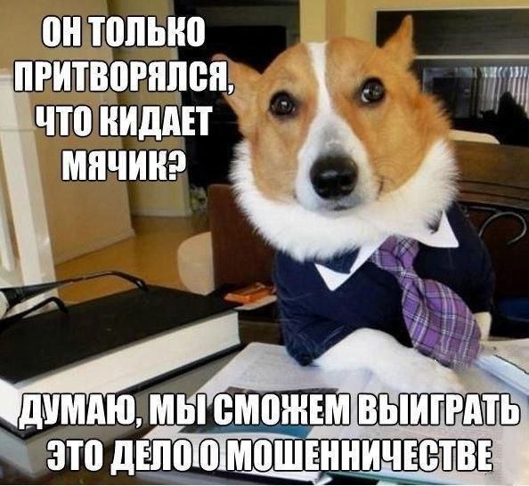 TONbKO ПРИТВОРЯЛСЯ ЧТО ВИДАЕТ МЯЧИК? УМАЮ, МЫГ это