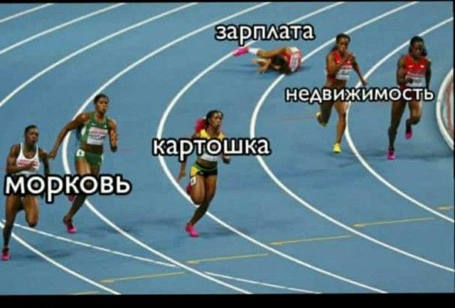 с недвижимость картошка морковь