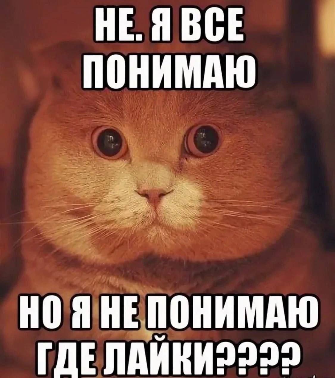 НЕ. Я ВСЕ ПОНИМАЮ НОЯ НЕПОНИМАЮ ГДЕЛАЙКИ и 8