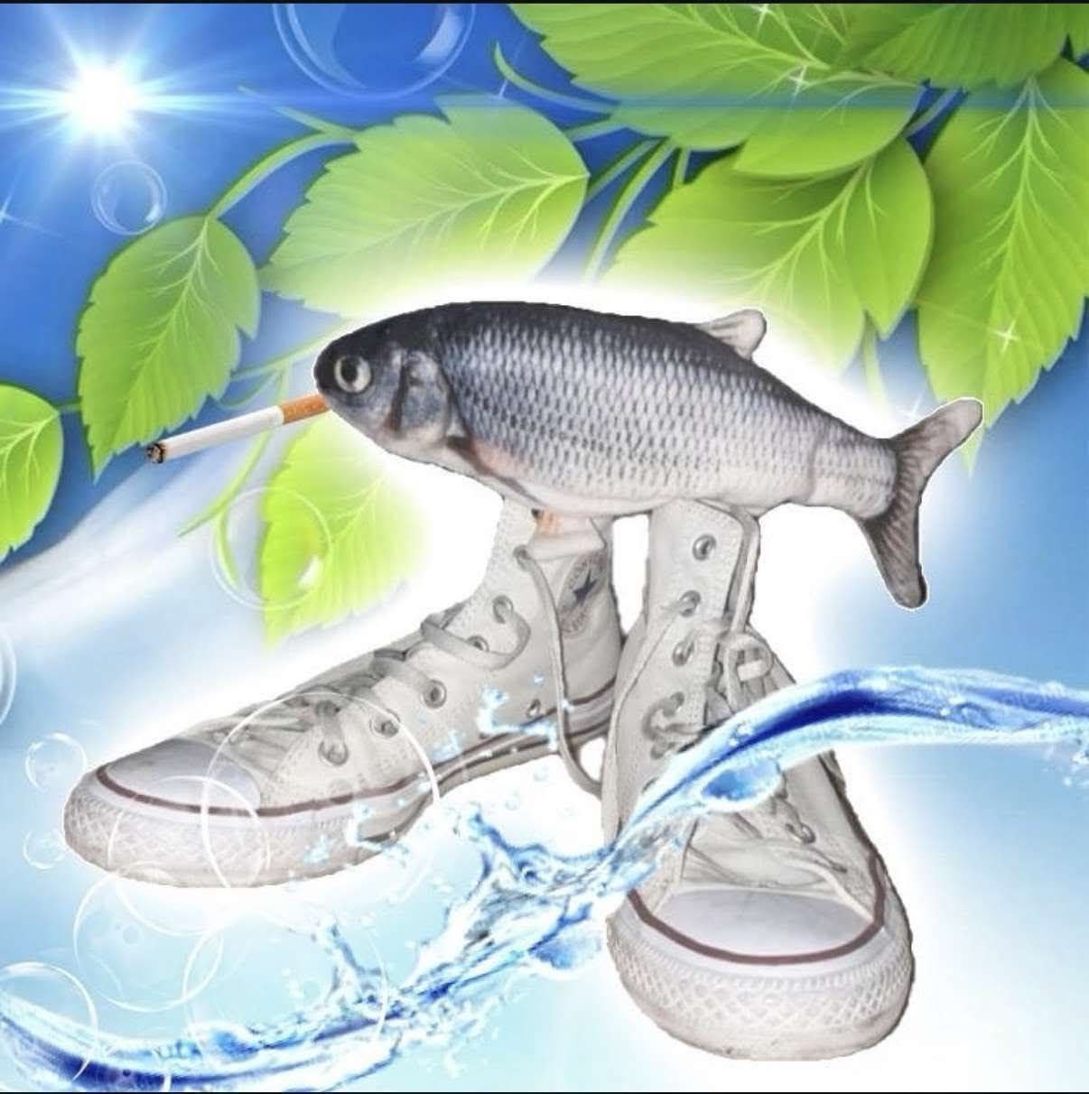 Я а 7 к а Tes