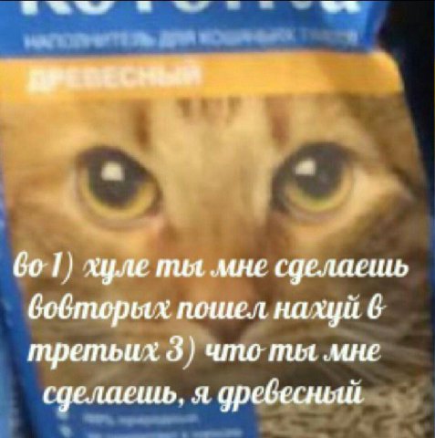 0 хуле ты мне сделаешь бобторых пошел нахуй 6 третьих 3) что ты сделаешь. дребесный