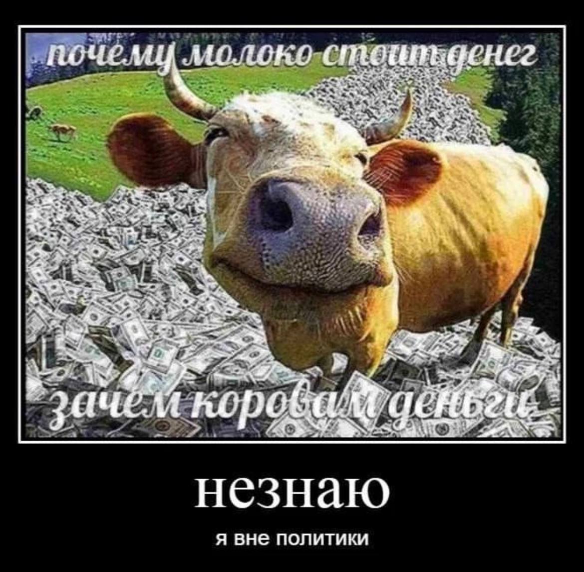 поче. стоипьденег незнаю я вне политики