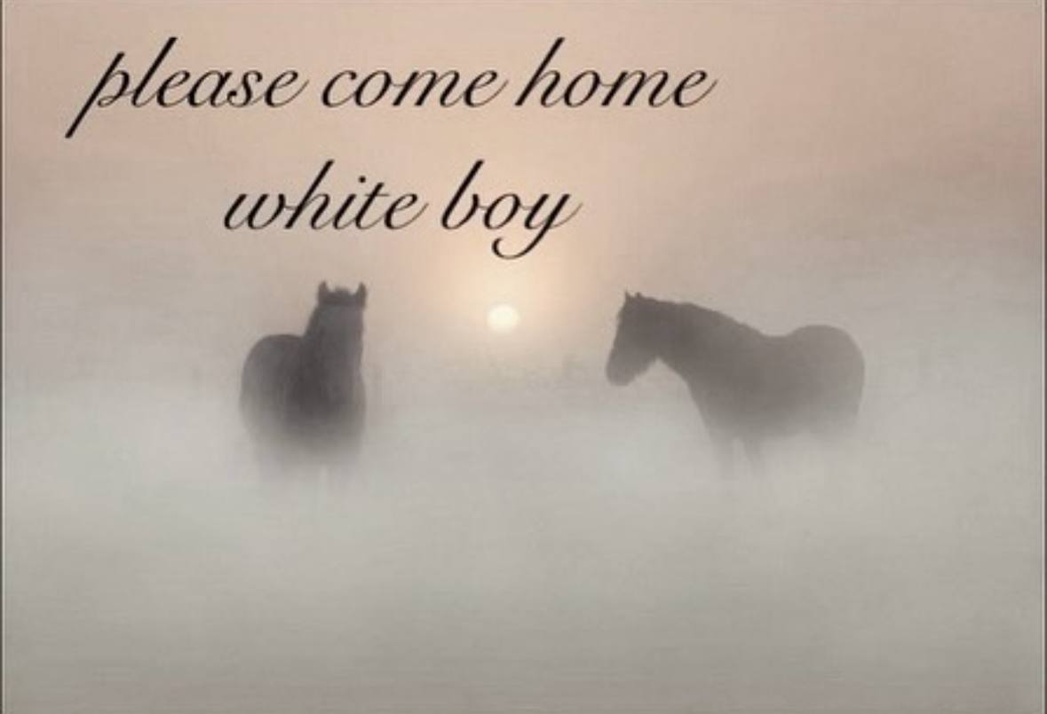 please come home white boy