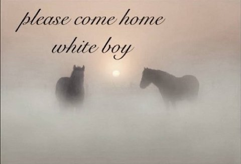 please come home white boy