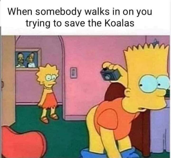 When somebody walks on you trying to save the Koalas