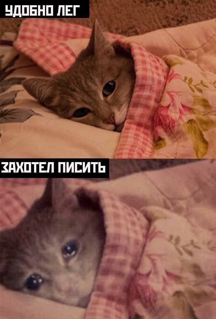 УДОБНО ЛЕГ ЗАХОТЕЛ ПИСИТЬ