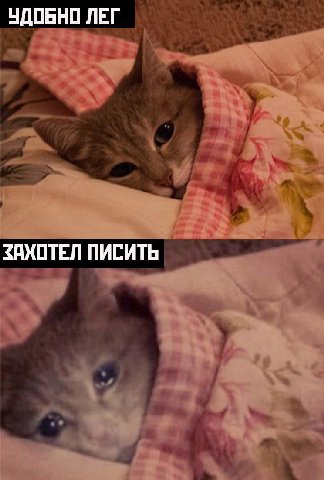 УДОБНО ЛЕГ ЗАХОТЕЛ ПИСИТЬ