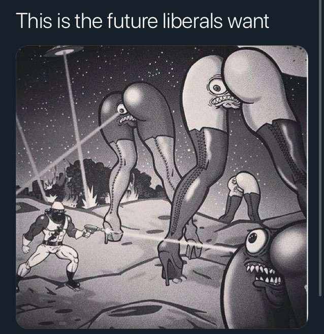 This is the future liberals want