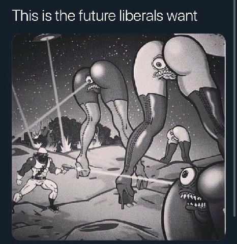 This is the future liberals want