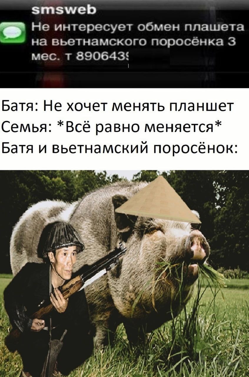 smsweb Не интересует обмен плашета на вьетнамского поросёнка 3 мес. Батя: Не хочет менять планшет Семья: *Всё равно меняется* Батя и вьетнамский поросёнок: an a у \a А FAN