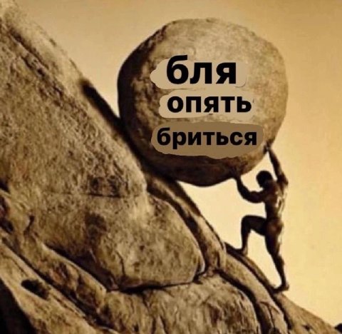 оля ОПЯТЬ А 43% OF