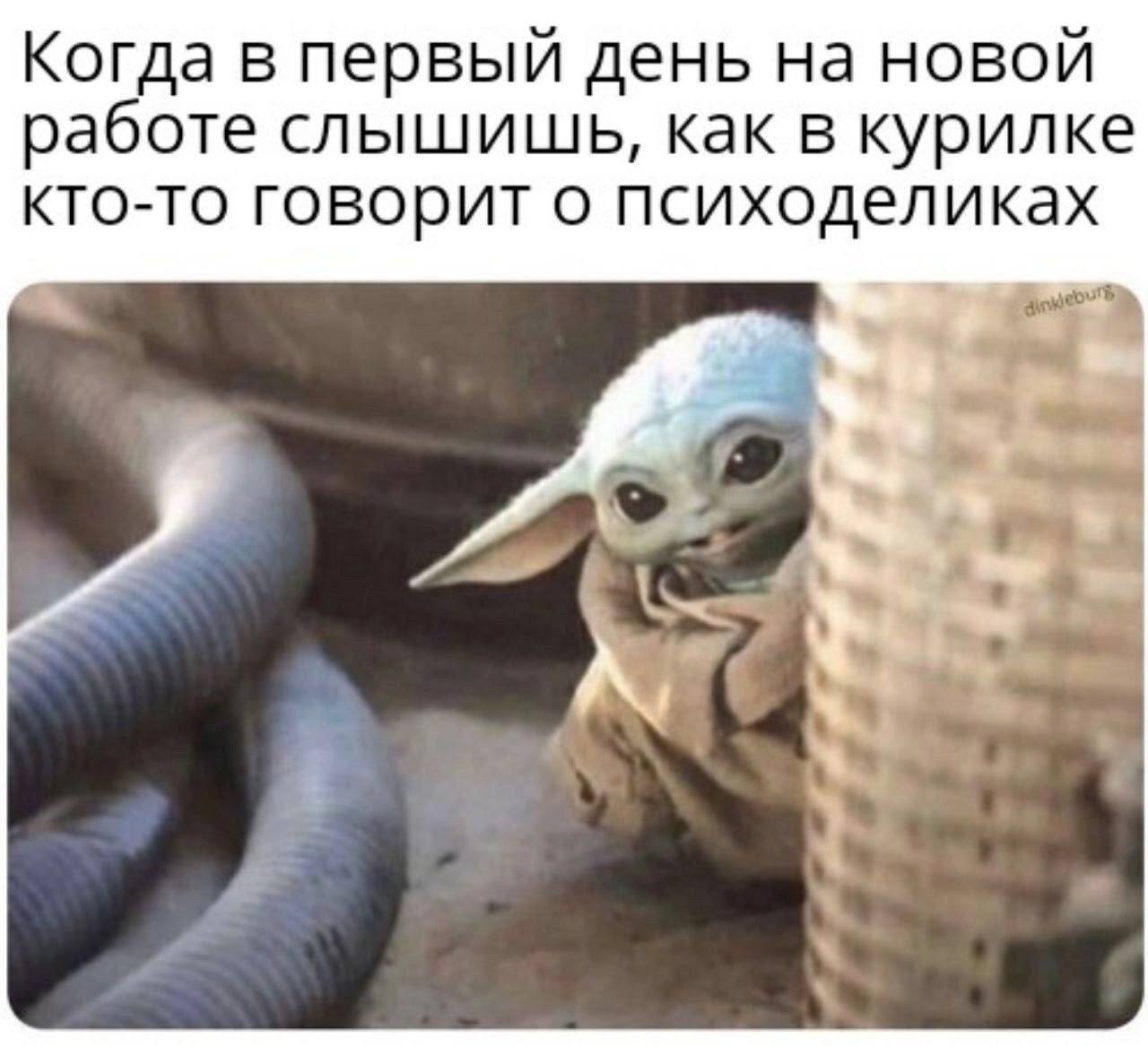 Когда в первый день на новой работе слышишь, как в курилке кто-то говорит о психоделиках