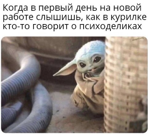Когда в первый день на новой работе слышишь, как в курилке кто-то говорит о психоделиках