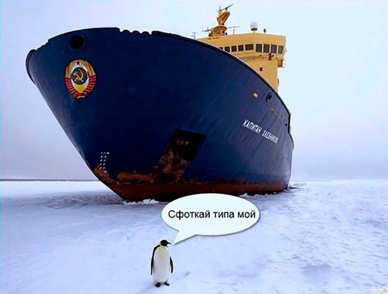Я King 4 с фоткай типа
