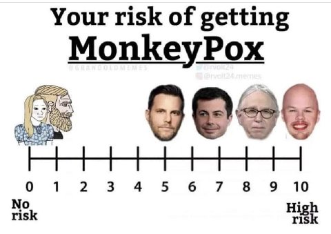 Your risk of getting MonkeyPox No 0 1 23 4 5 6 7 8 9 10 risk High risk