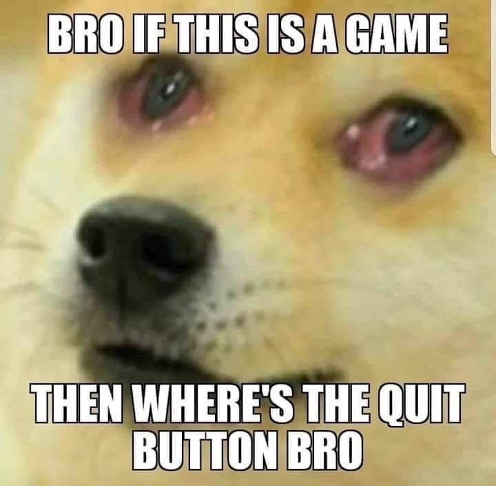 BRO IF THIS IS А GAME WHERE'S THE QUIT В TONB