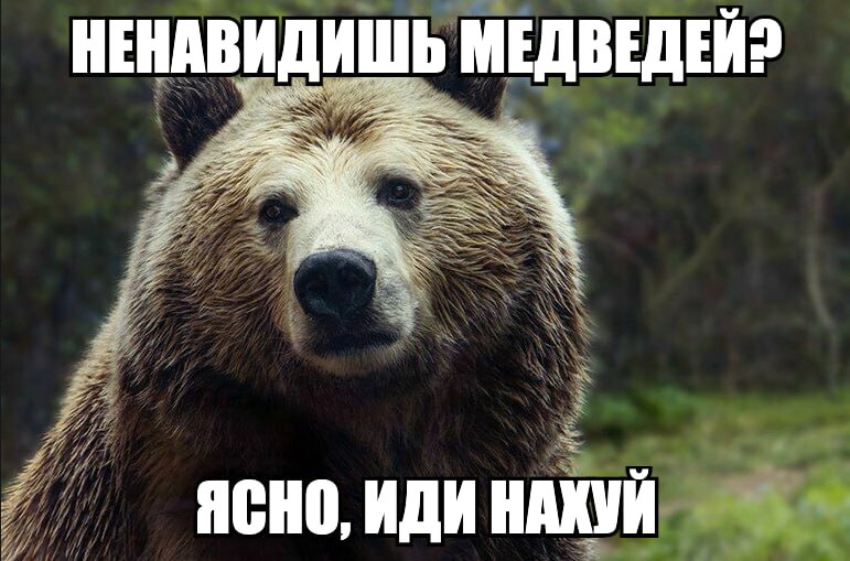 НЕНАВ ИШЬ МЕДВЕДЕЙ? ЯСНО, ИДИ НАХУЙ