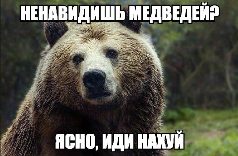 НЕНАВ ИШЬ МЕДВЕДЕЙ? ЯСНО, ИДИ НАХУЙ