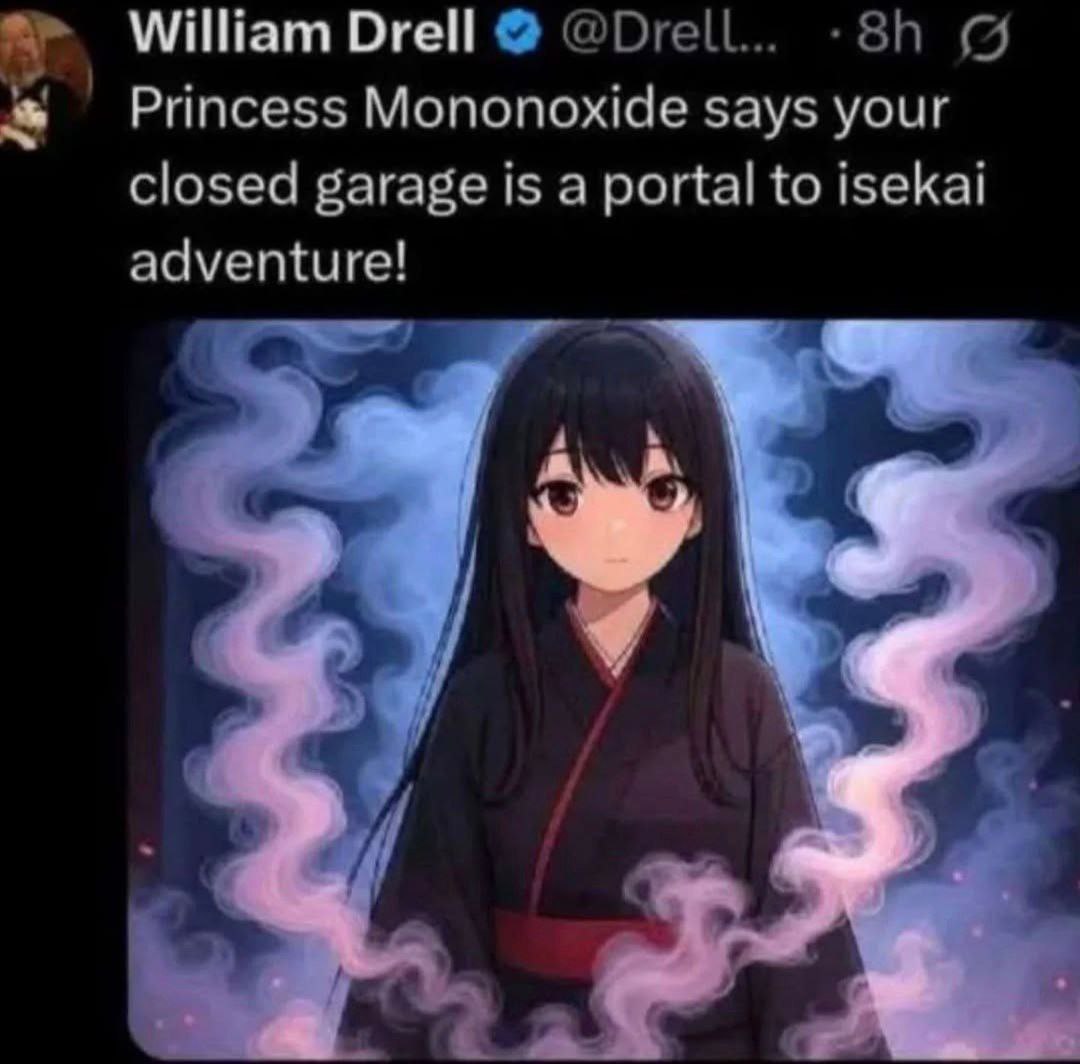 William Drell Princess Mononoxide says your closed garage 15 a portal to 15еКа! adventure!